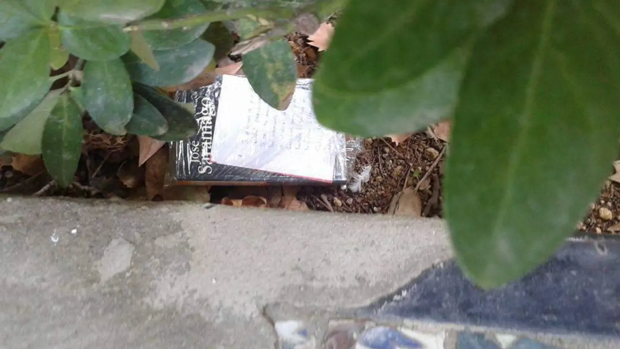 Libros liberados y cazados - FB