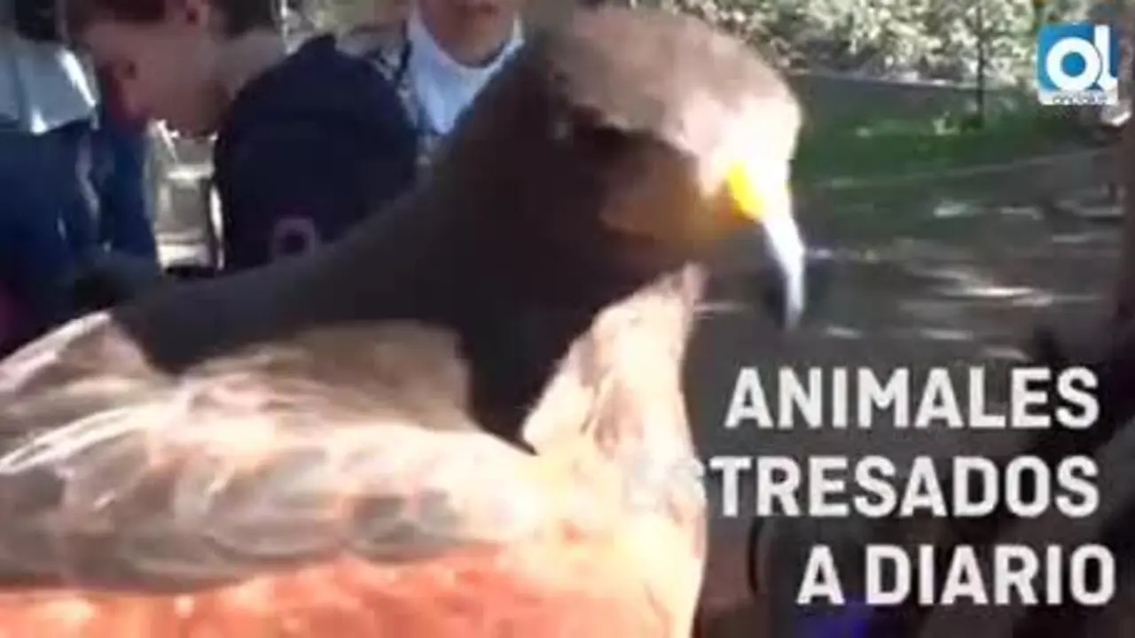 Recogen firmas para el cierre del zoo de Castellar por "peligroso"