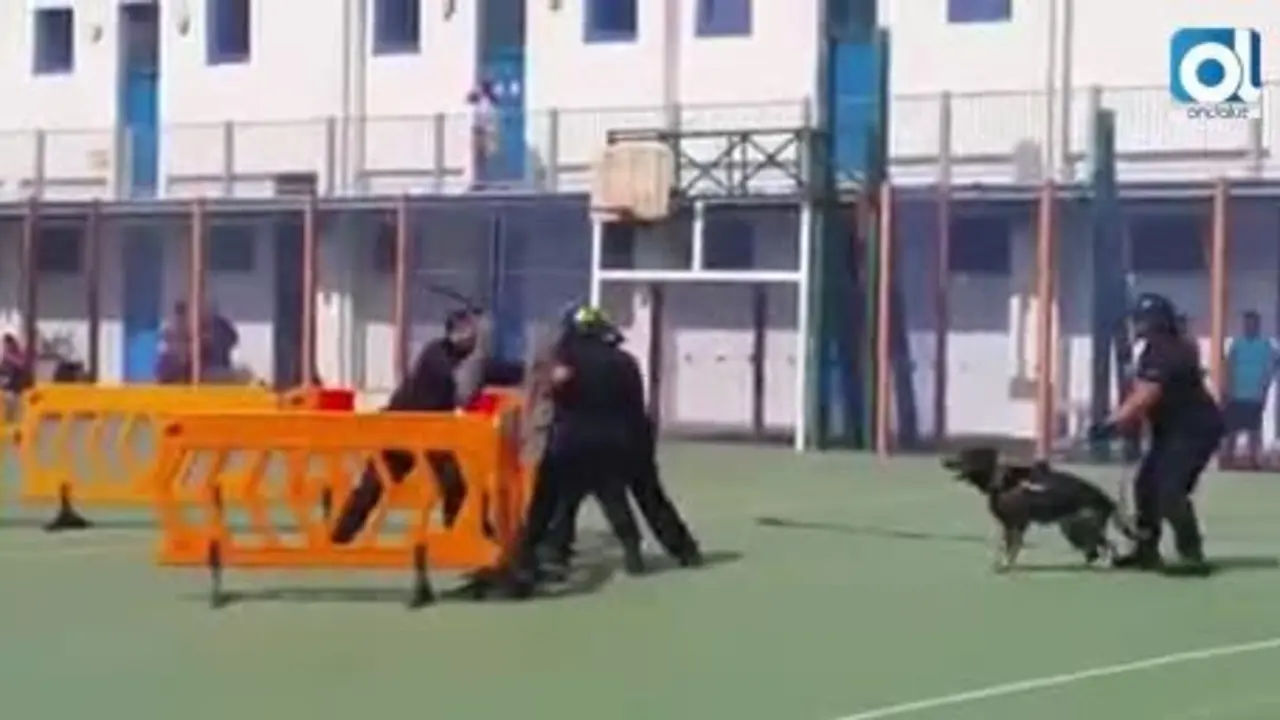 Olfato canino, instrumento esencial del trabajo policial en Gibraltar