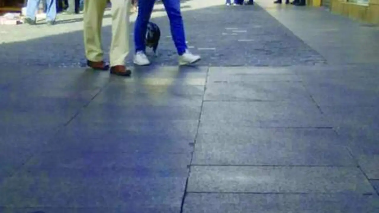 Presencia de agentes. - Viva