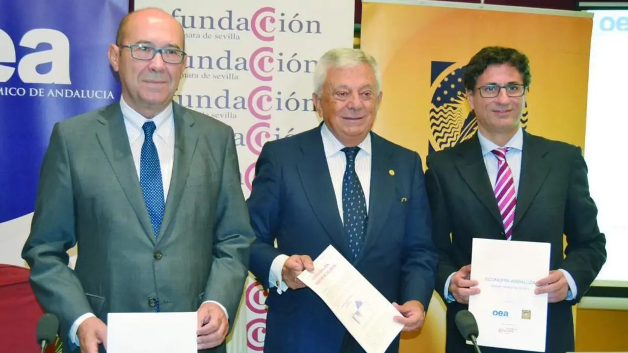 presentaci&oacute;n del informe del OEA - viva