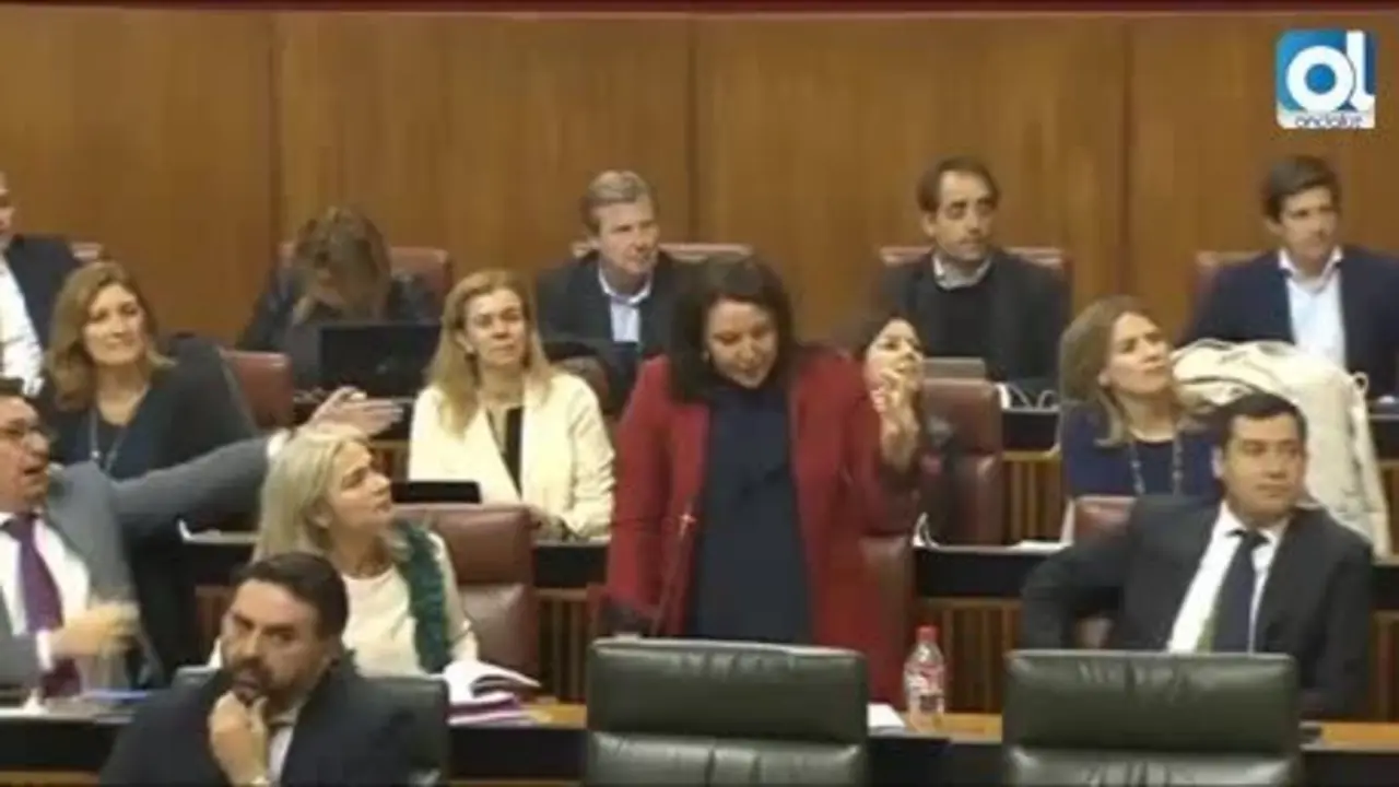 El sill&oacute;n de Del Pozo enfanga al Parlamento en una bronca
