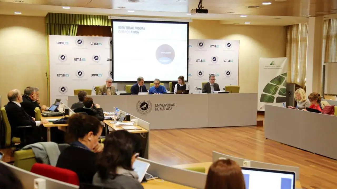 COnsejo de gobierno - vm