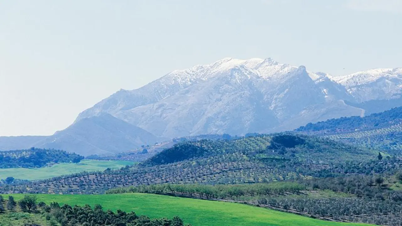 Sierra de las Nieves - vm
