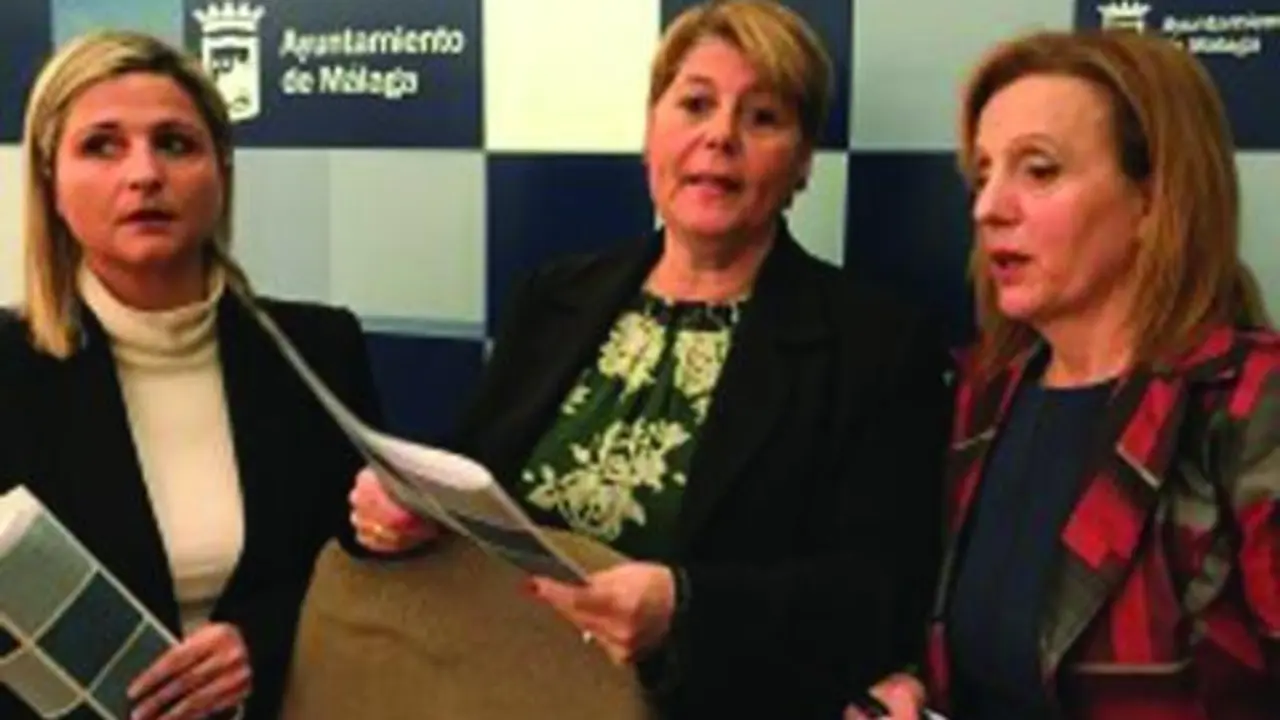 ediles del psoe - vm