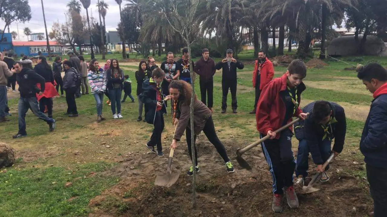 Reforestaci&oacute;n de los Locos del Parque - AI