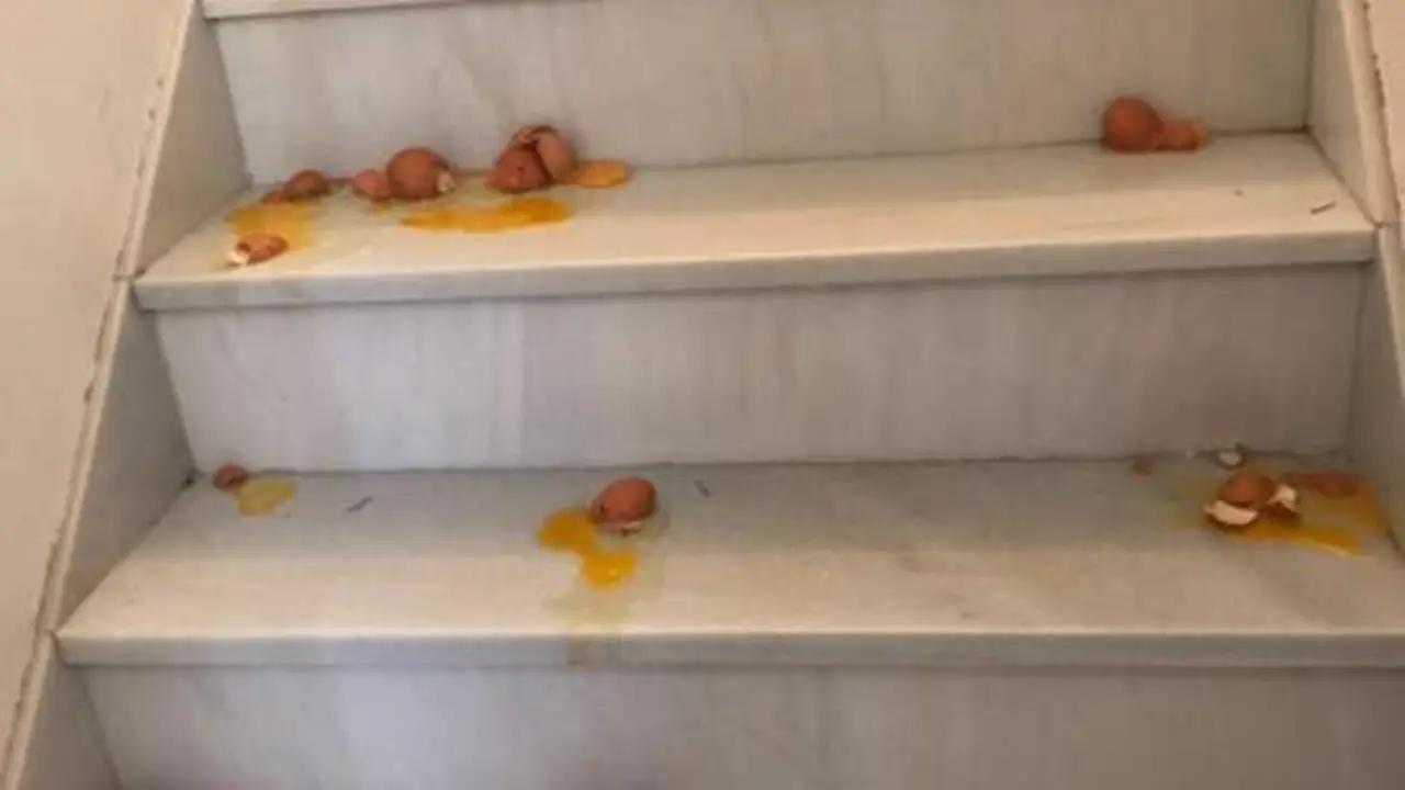 Huevos en viviendas - vh