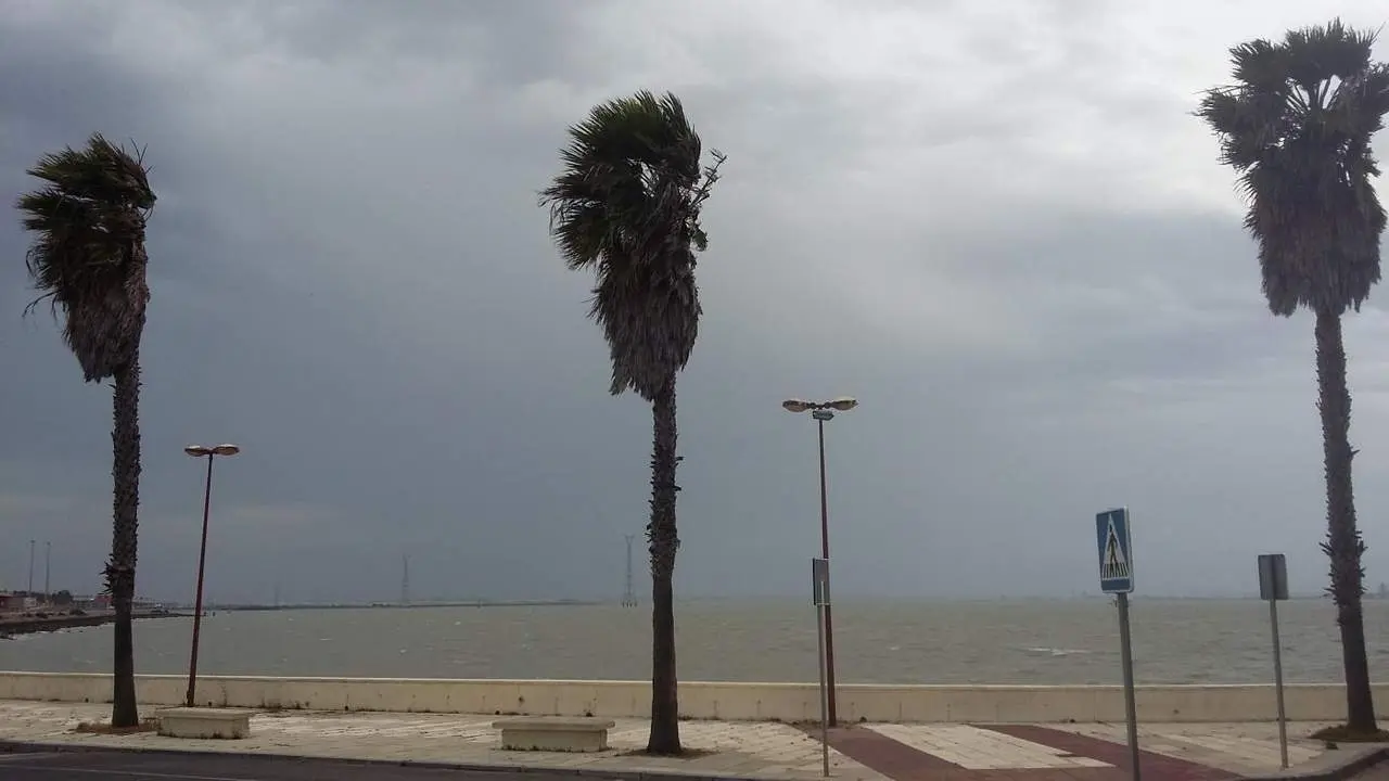 Temporal  - V. C. 
