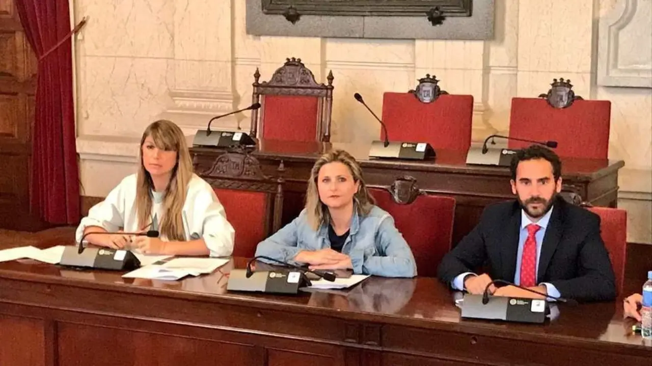 Mart&iacute;n Palop - PSOE