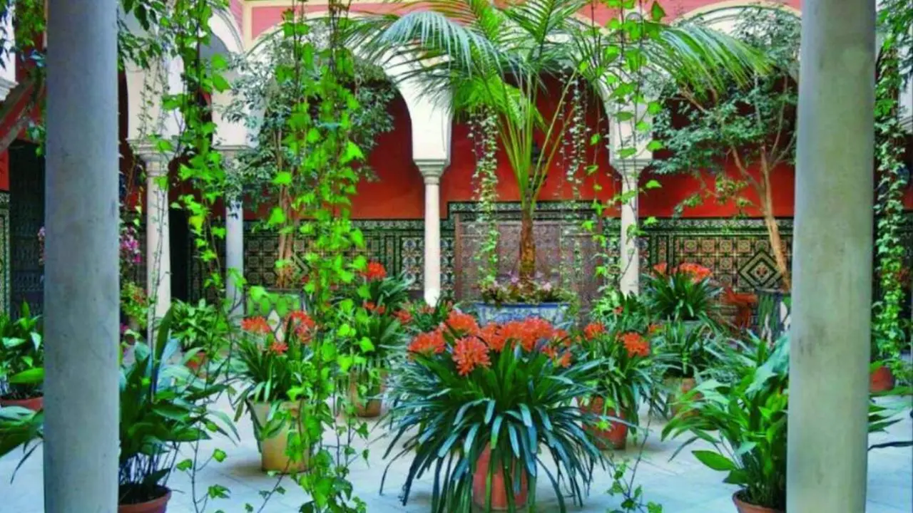 Uno de los patios - Viva