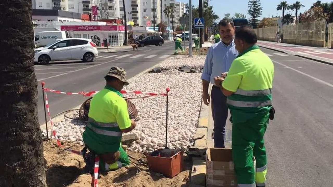 Avenida de la Paz - Viva