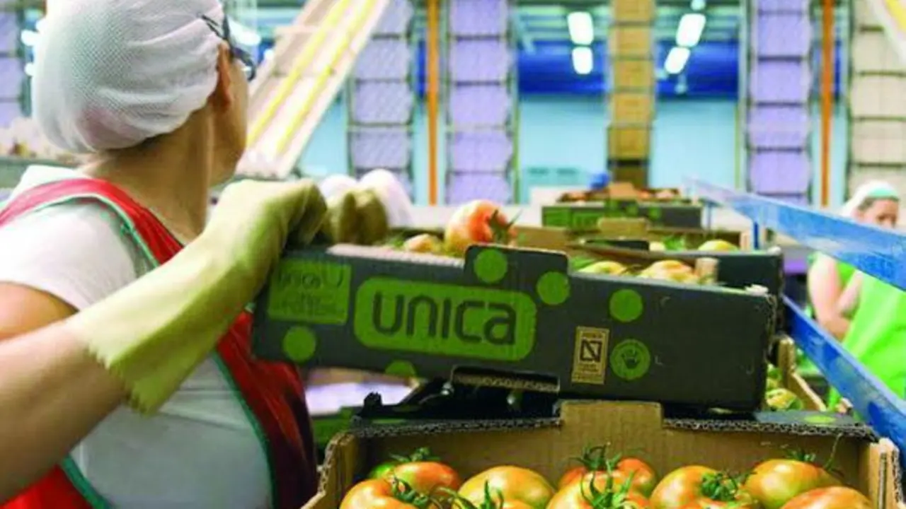 Planta de &Uacute;nica Group en Almer&iacute;a - a.i.