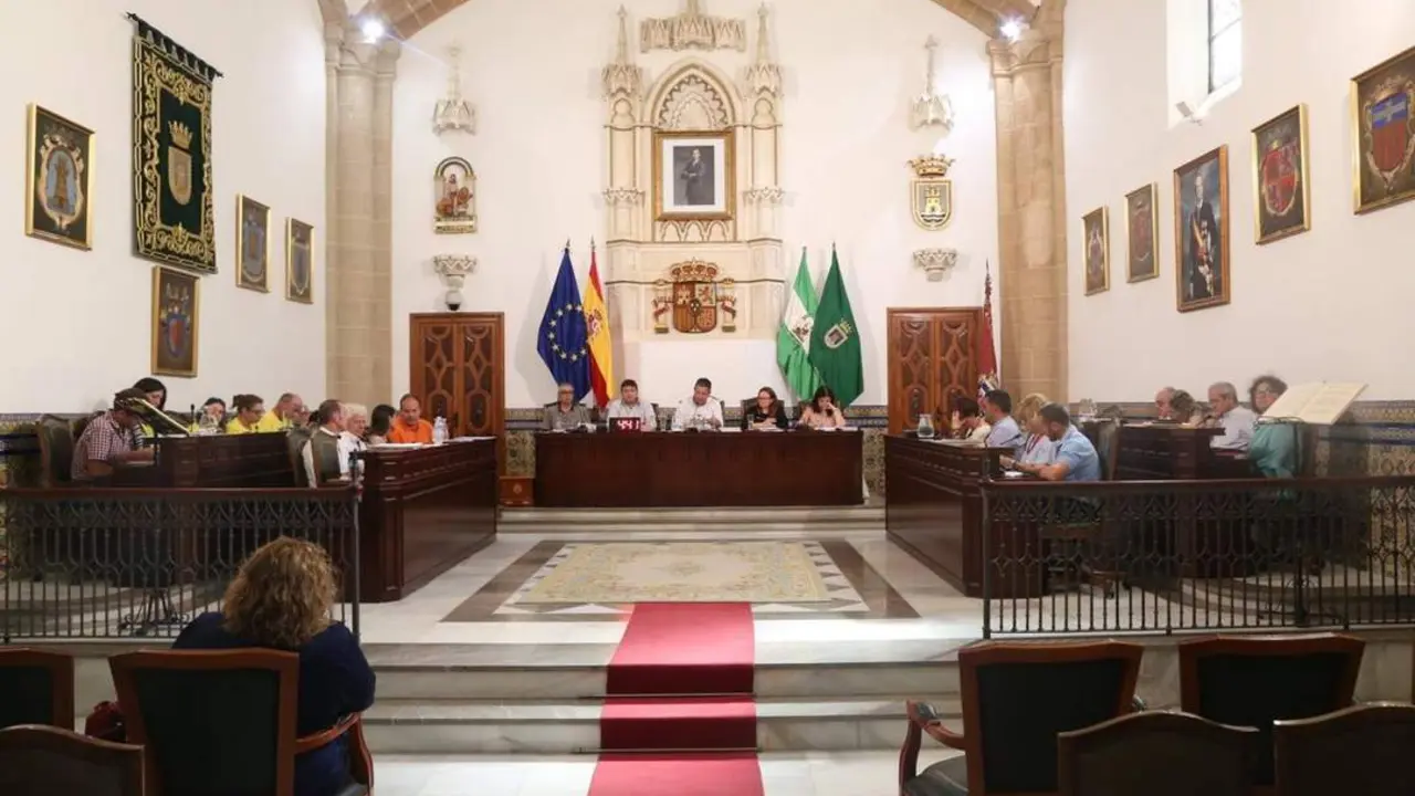 Pleno municipal. - Viva Rota