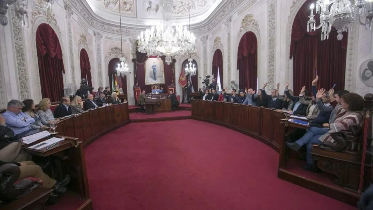 Pleno municipal. - Viva