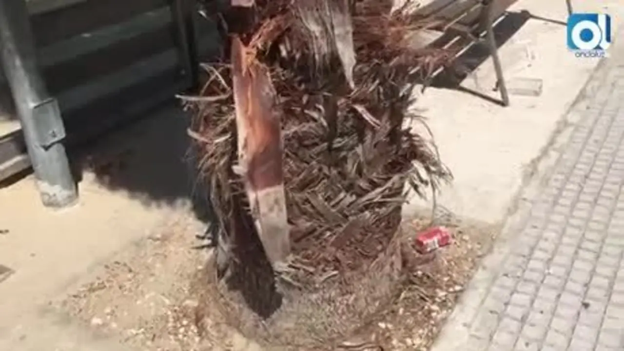 Telegraf&iacute;a Sin Hilos se llena de basura