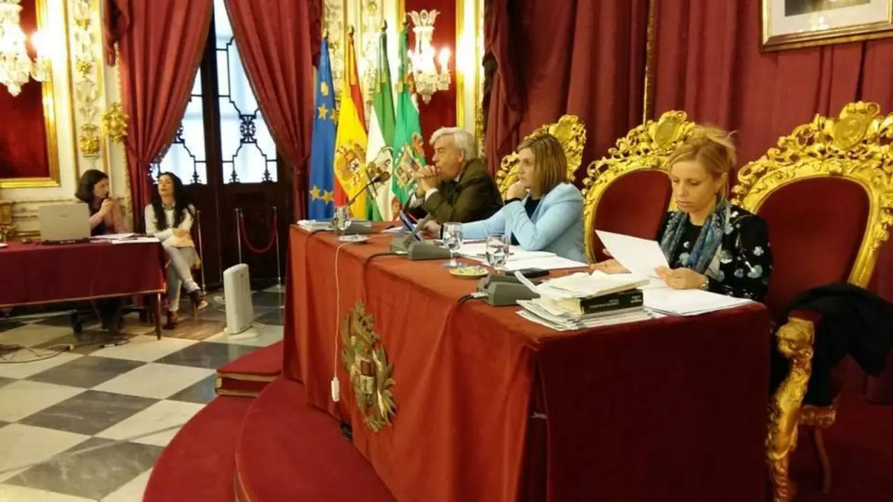 Pleno de Diputaci&oacute;n - Viva