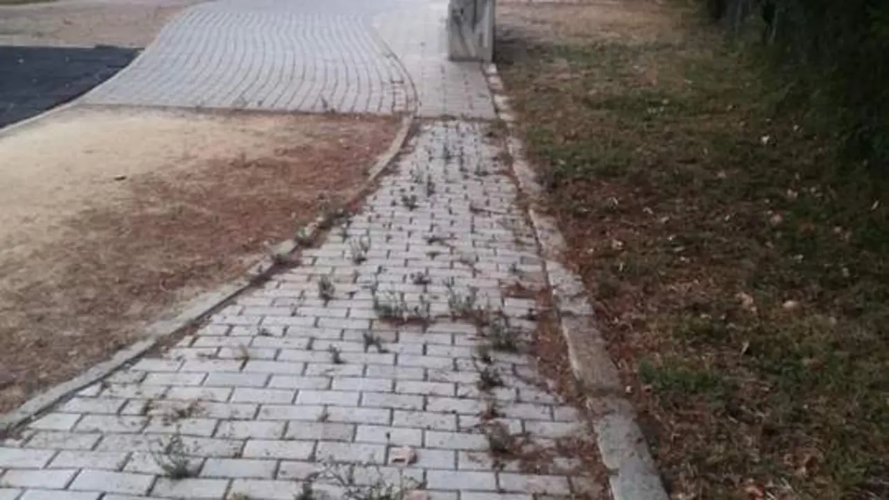 Deficiencias en los parques. - Fuente: SSPR