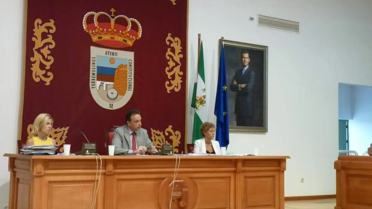 Pleno de Torremolinos - Carmen Romera