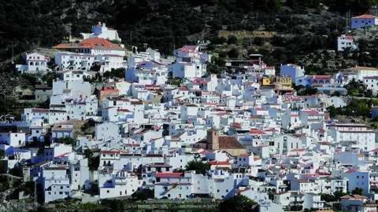 Canillas de albaida - vm