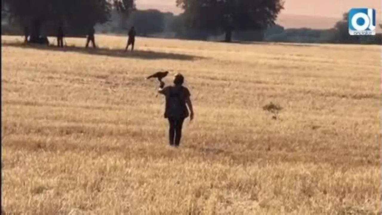 Una vecina jubilada que hizo de la cetrer&iacute;a su pasi&oacute;n