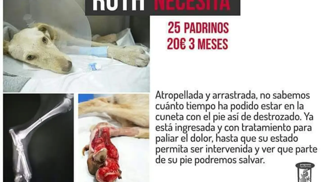 Ruth te necesita - vm