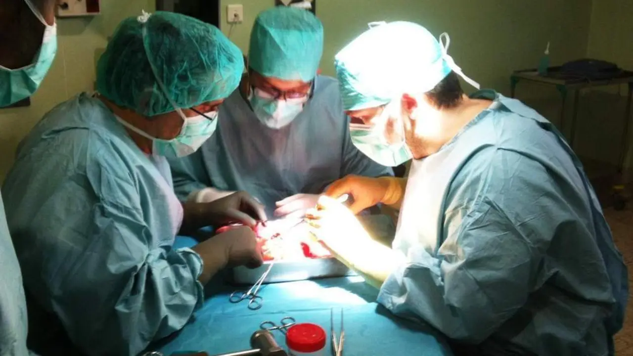 Operaci&oacute;n transplante - VM