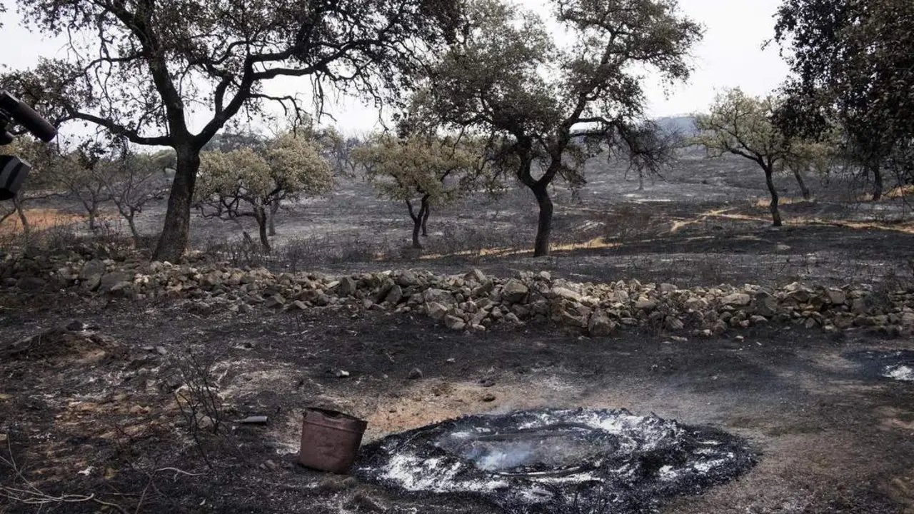 Incendio de La Granada de Riotinto - EFE / J.PEREZ