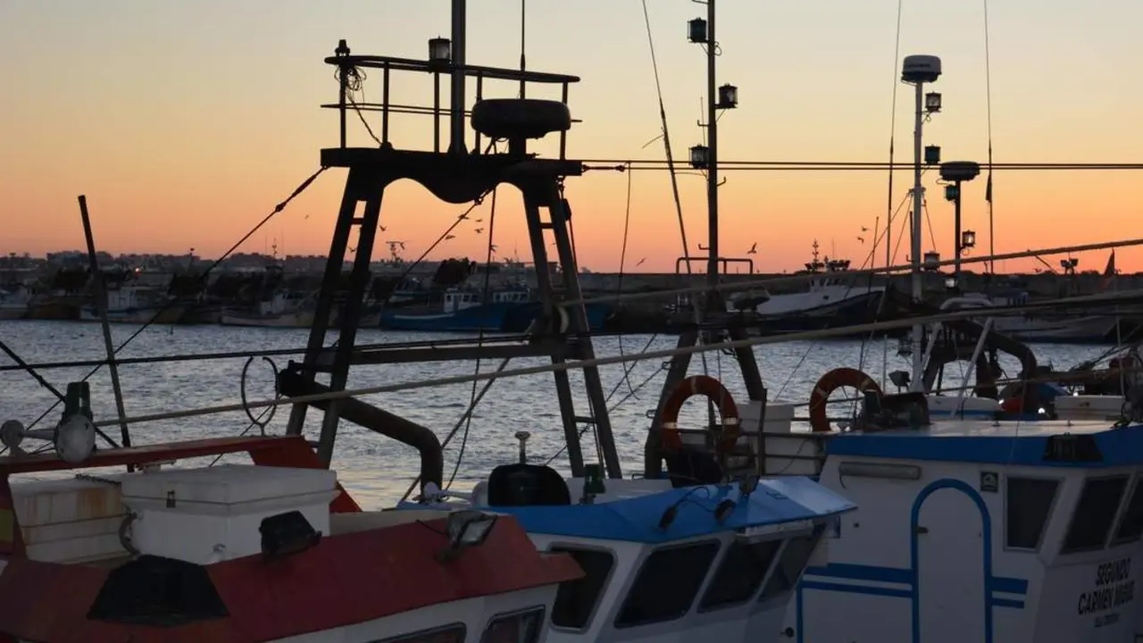 Dragas amarradas en el puerto de Bonanza. - C. Cruz