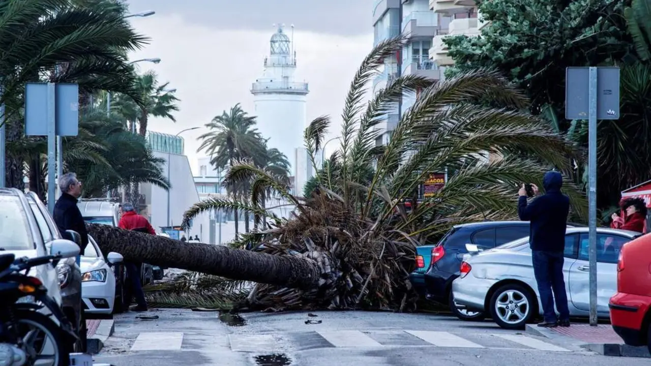 Destrozos temporal - EFE/Juan Miguel P&eacute;rez Ramos