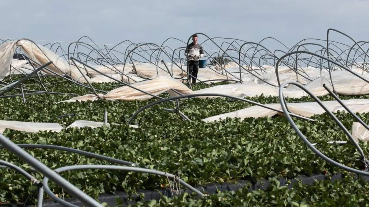 Caja Rural del Sur dar&aacute; financiaci&oacute;n "inmediata" a los afectados