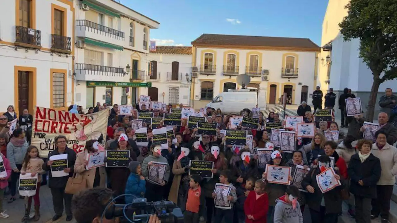 Vecinos vestidos de cig&uuml;e&ntilde;as claman por los cortes de luz