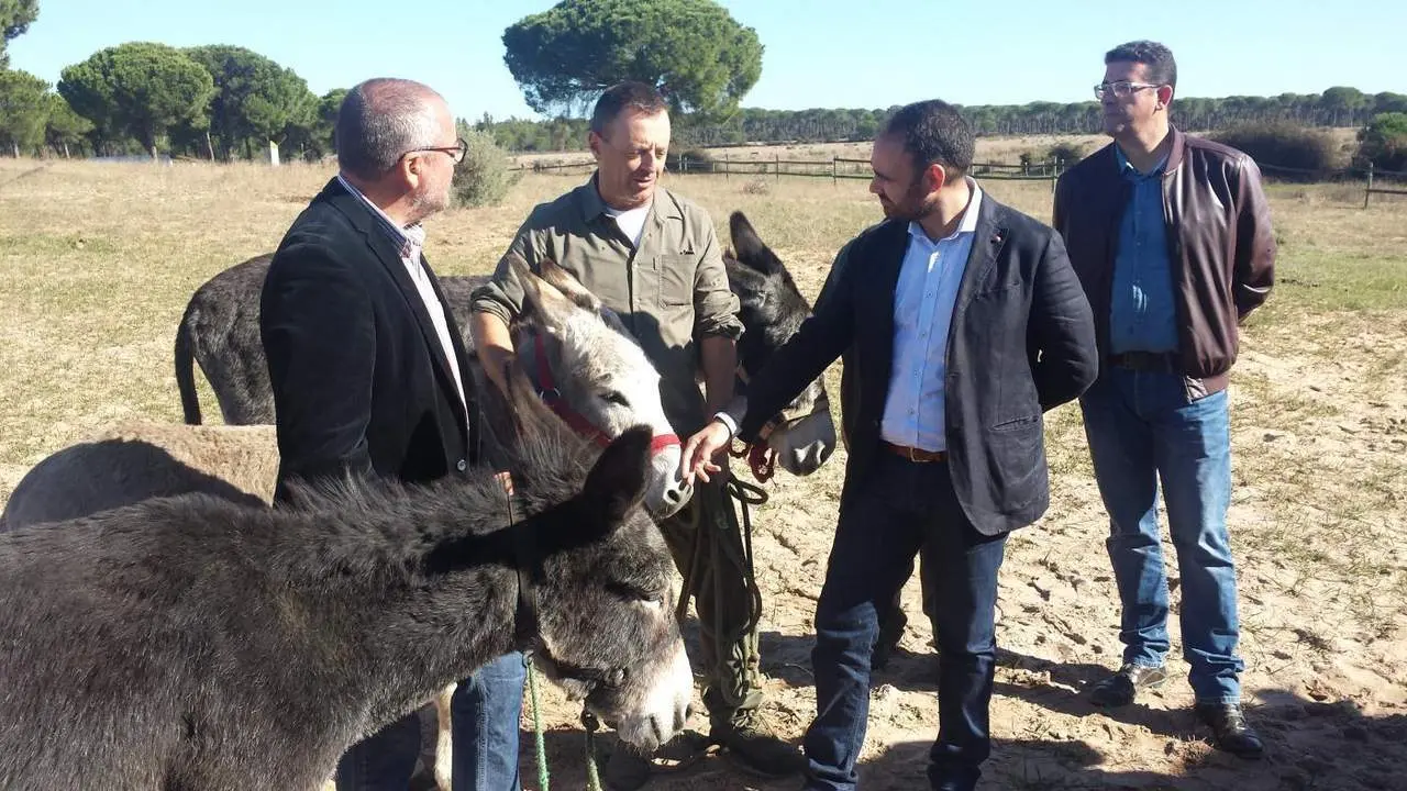 Recuperan y dan en adopci&oacute;n 14 equinos requisados por el Seprona