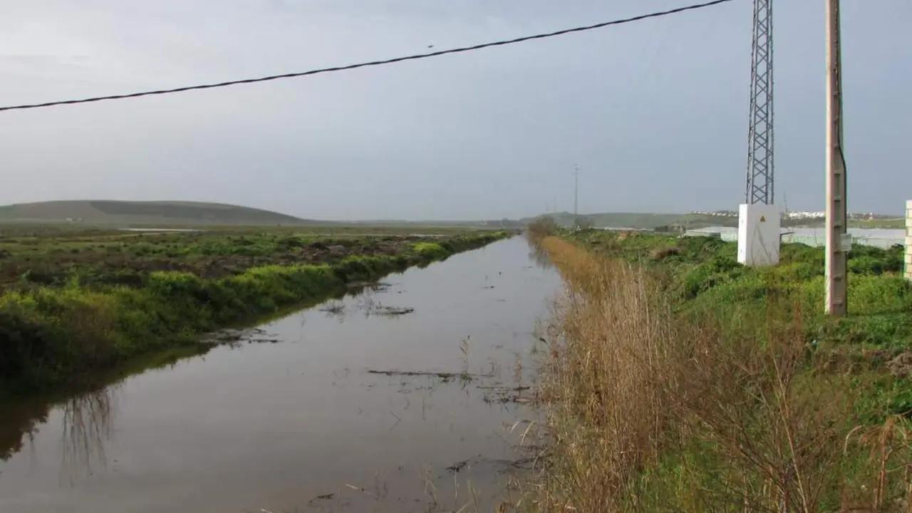 Marzo dej&oacute; muchos litros de agua en La Algaida - Ra&uacute;l J. Bustillos
