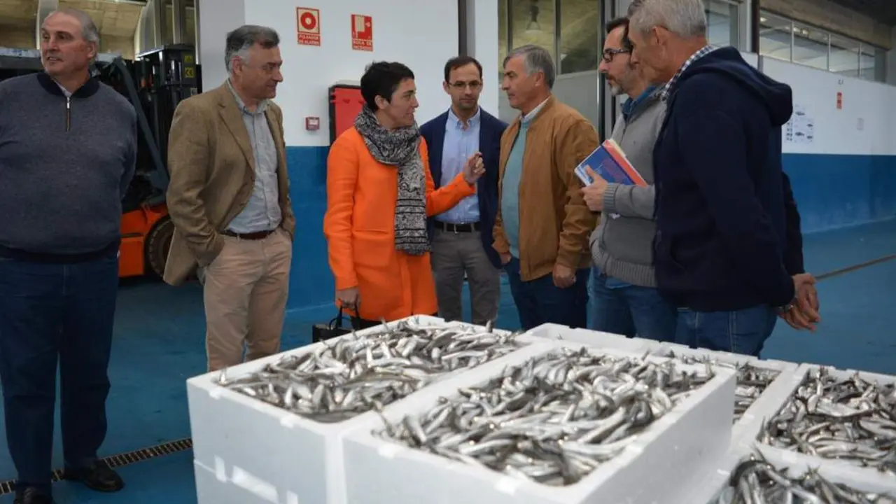 Visita a la lonja de Bonanza. - C. Cruz