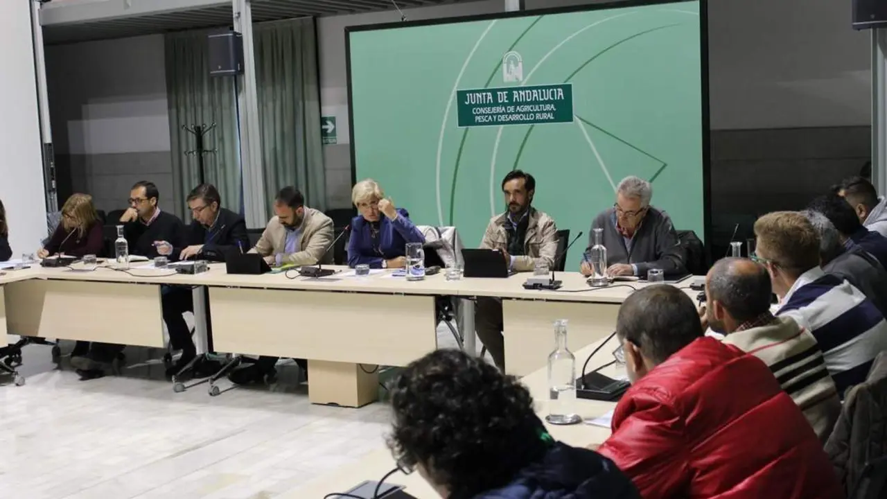 Reuni&oacute;n de Junta y el sector este martes. - VH