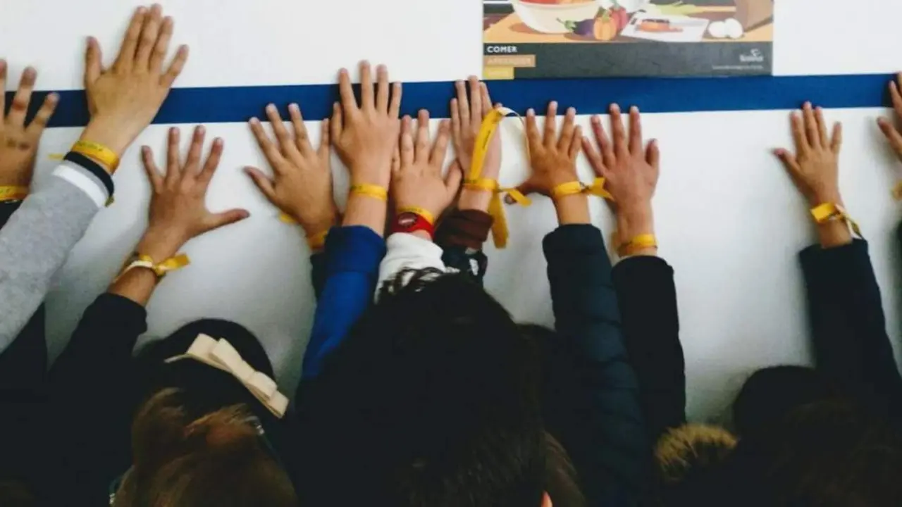 Los colegios se han volcado con 'Reca&iacute;da 0' - Viva Jerez