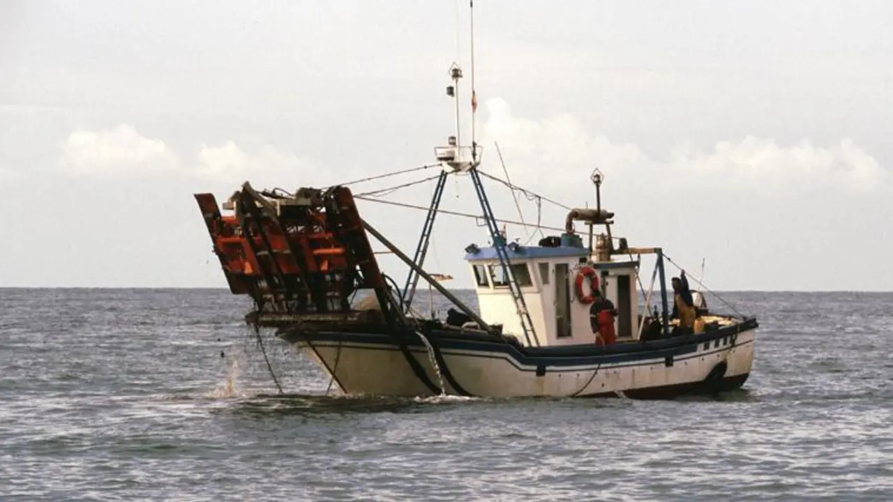 Barco de chirla. - A. I.