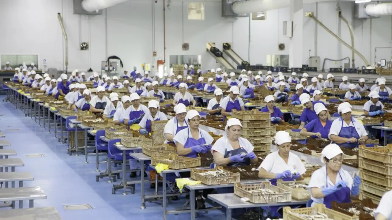 Trabajadoras de USISA - VCO