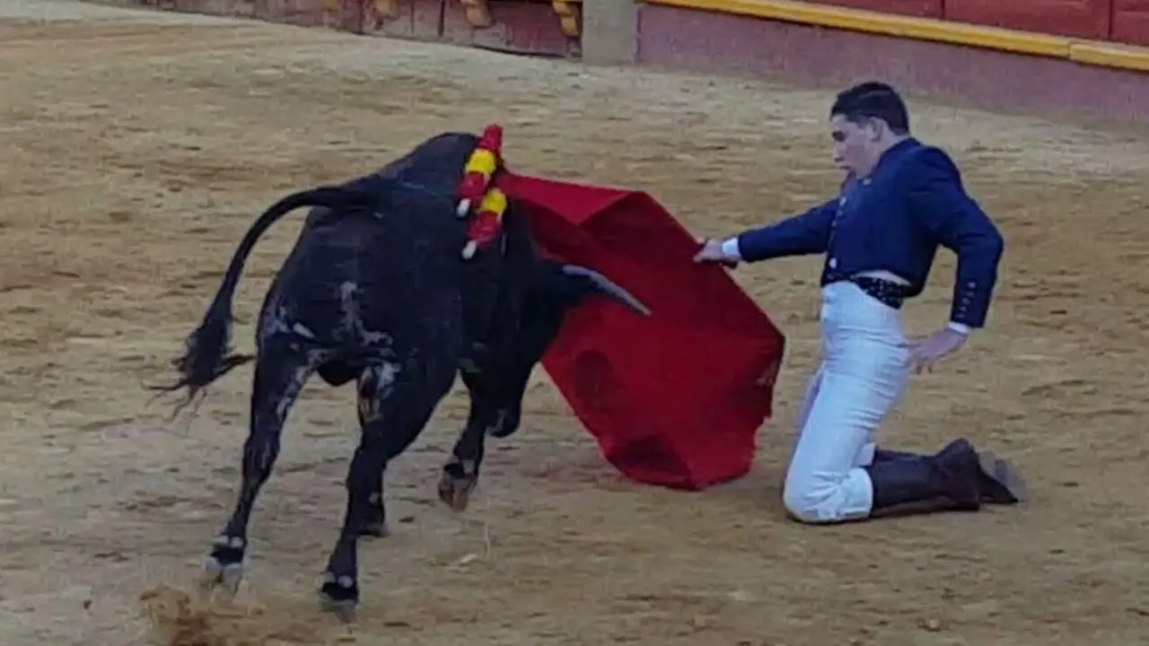 Un momento de su actuaci&oacute;n. - 