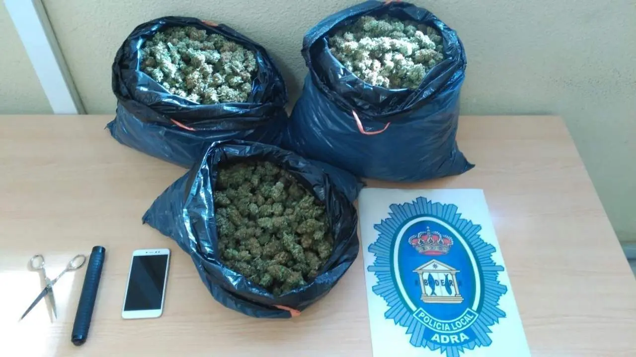 Marihuana intervenida. - AI