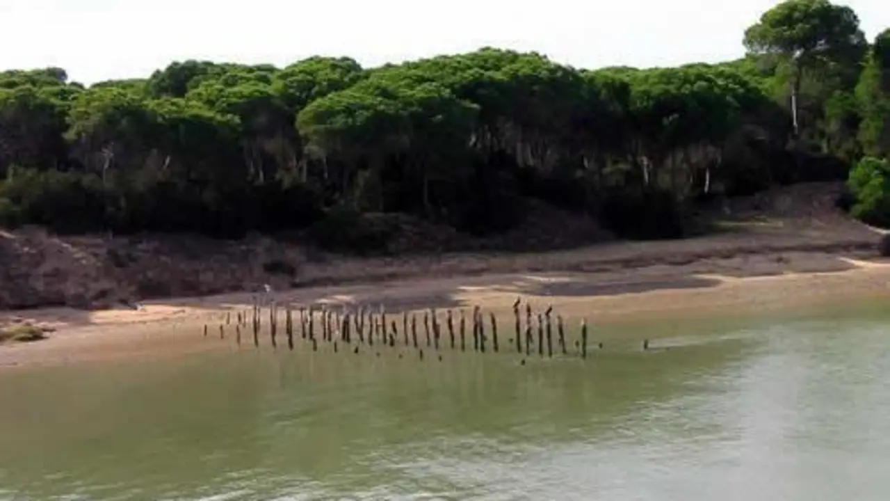 Parque Natural de Do&ntilde;ana. - VH