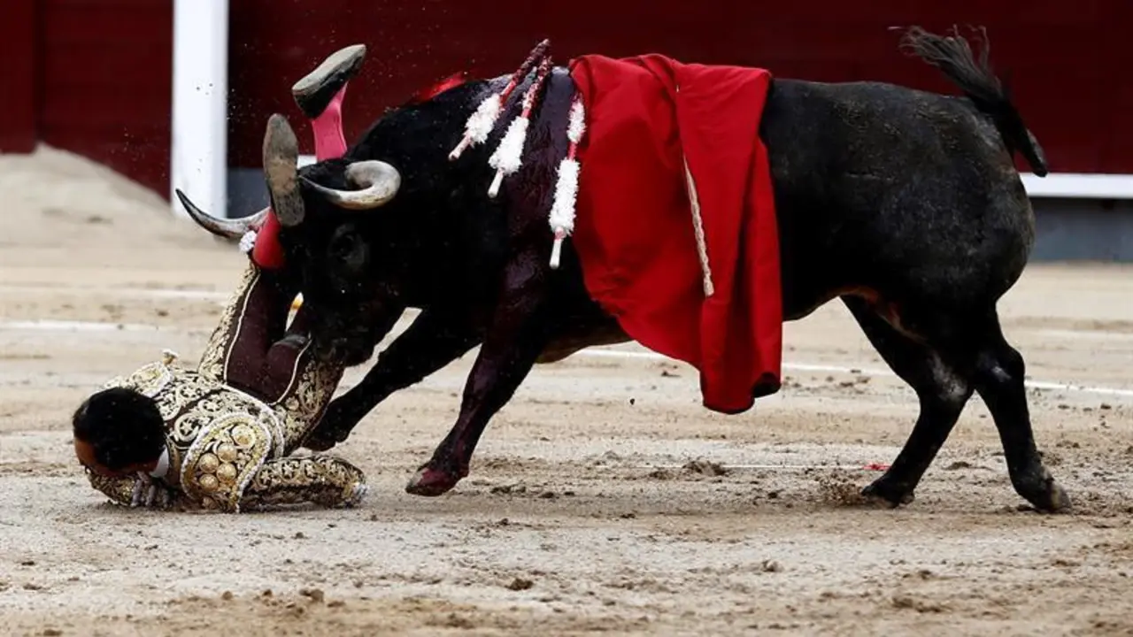 "El Cid", intervenido de una cornada grave en Las Ventas
