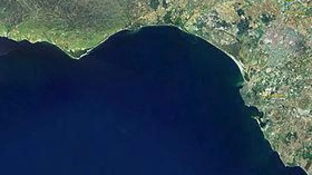 Golfo de C&aacute;diz - Viva