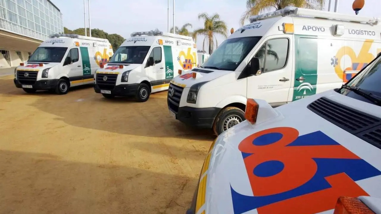 Servicios sanitarios. - VH