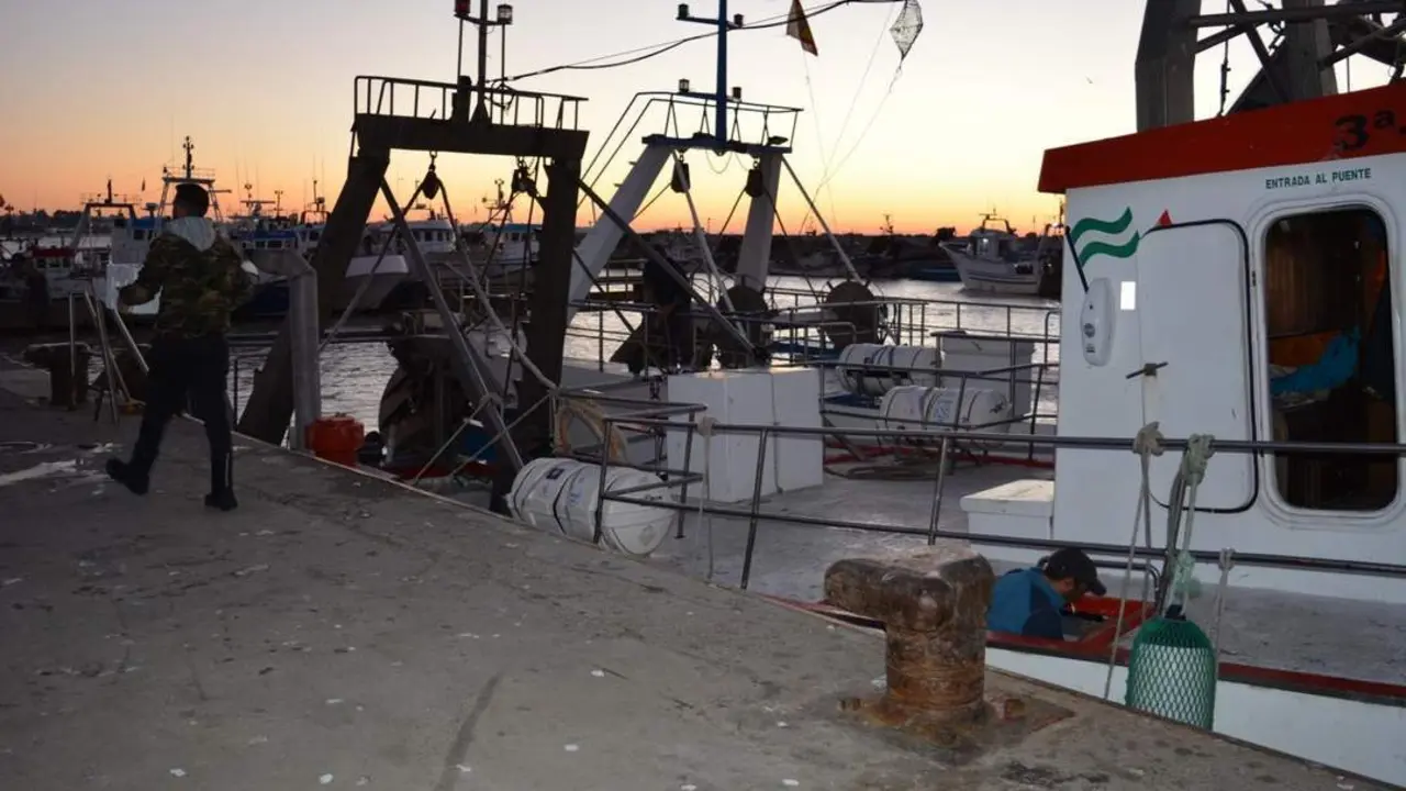 Barcos de la chirla en el puerto de Bonanza. - C. Cruz