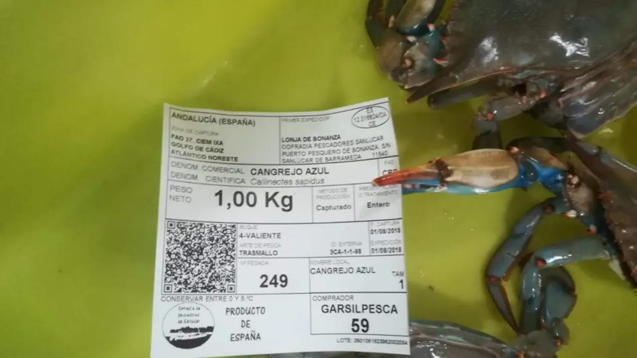 El Cangrejo azul ya se comercializa en la lonja de Sanl&uacute;car. - Cofrad&iacute;a de Pescadores de Sanl&uacute;car.