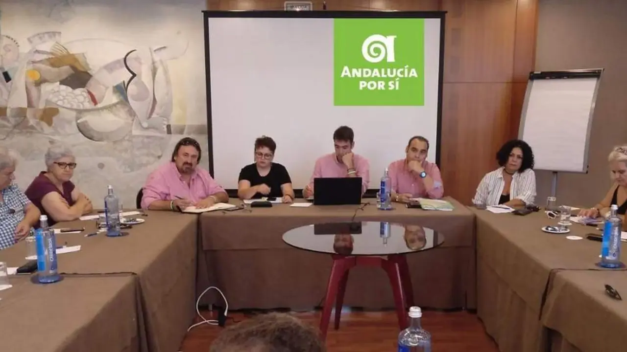 Coordinadora Nacional de Andaluc&iacute;a Por S&iacute;. - AI