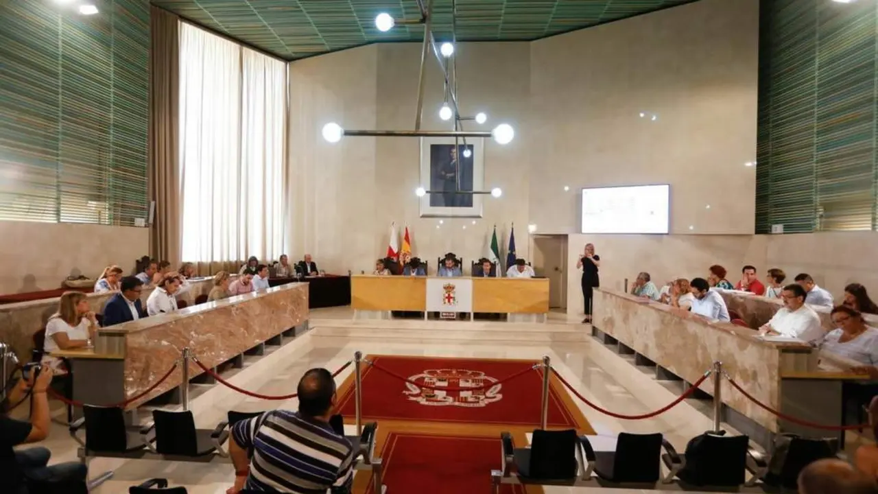 Pleno en Almer&iacute;a. - Europa Press