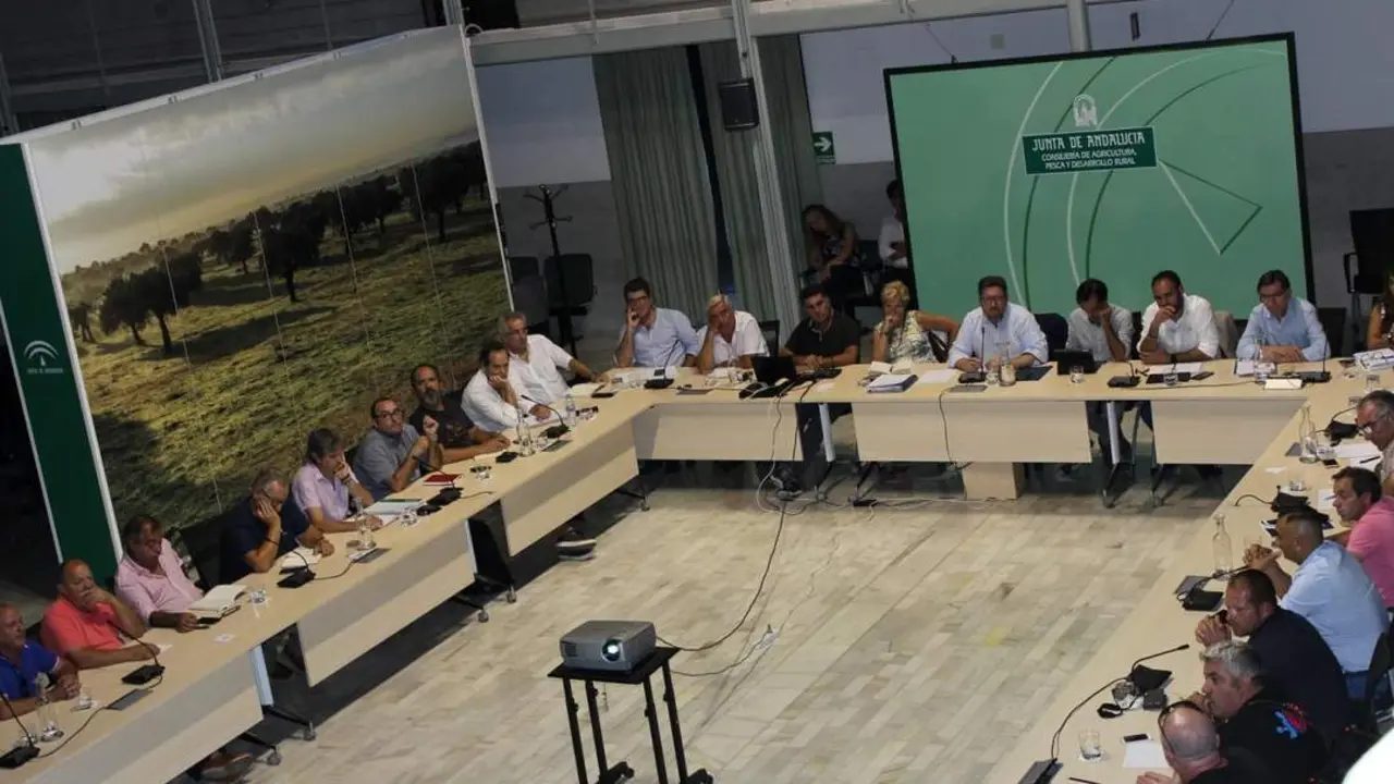 Reuni&oacute;n de la Junta y el sector. - VH