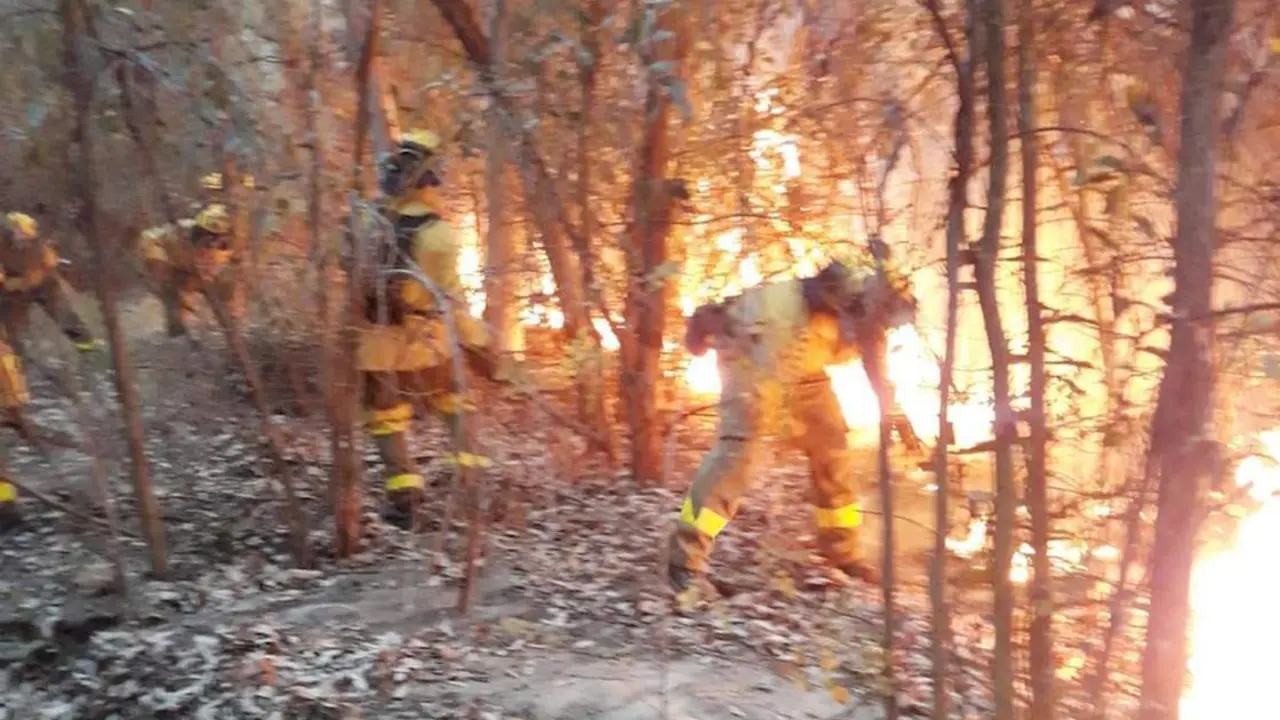 Incendio en Almonte. - INFOCA